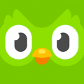 تحميل Duolingo دولينجو مهكر اخر اصدار 2026 للأندرويد
